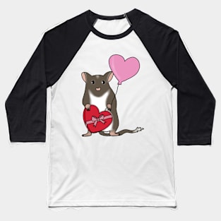 Cute brown gerbil with heart balloon and chocolates Baseball T-Shirt